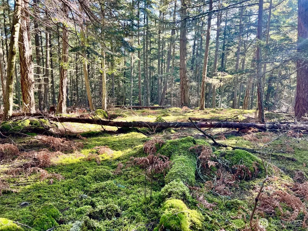 0 Highland Drive #3, Lopez Island, WA 98221 - #1