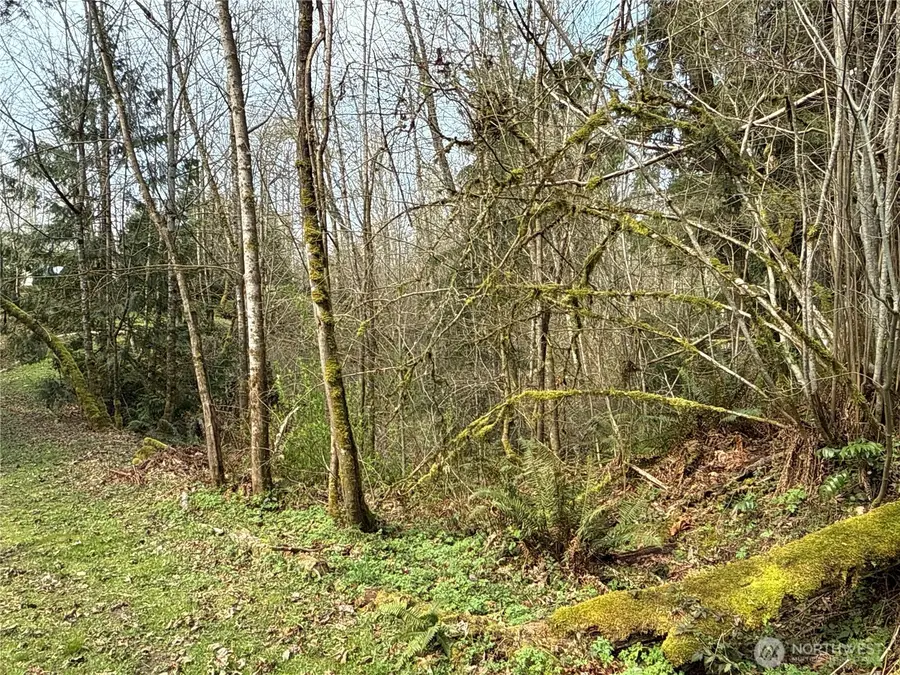 22 212th Avenue Se, Maple Valley, WA 98038 - #3