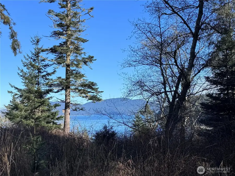 0 Davis Beach Road #24 portion, Blakely Island, WA 98221 - #3