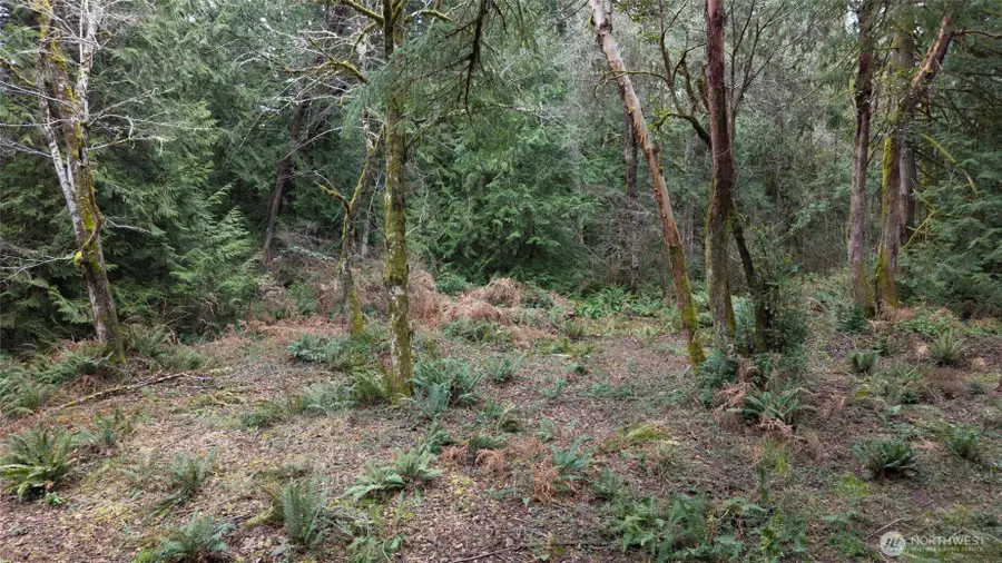 8900 Adams Lane Nw, Olympia, WA 98502 - #3