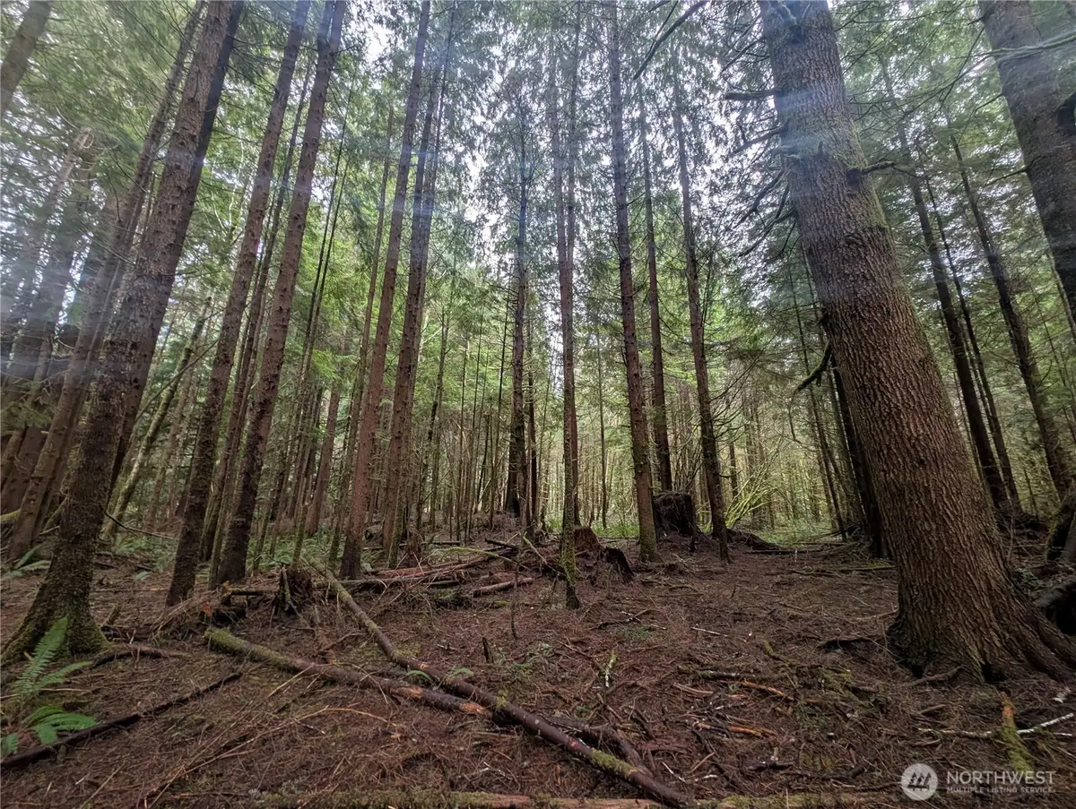 9991 Quillayute Road, Forks, WA 98331 - #1