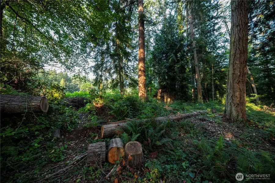 0 Ships Havens Drive #60, Freeland, WA 98249 - #3