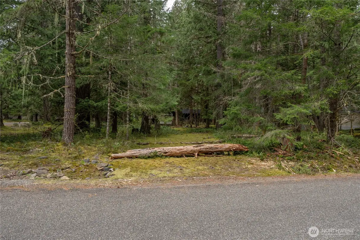 38313 566th Street Ct E #5, Ashford, WA 98304 - #1
