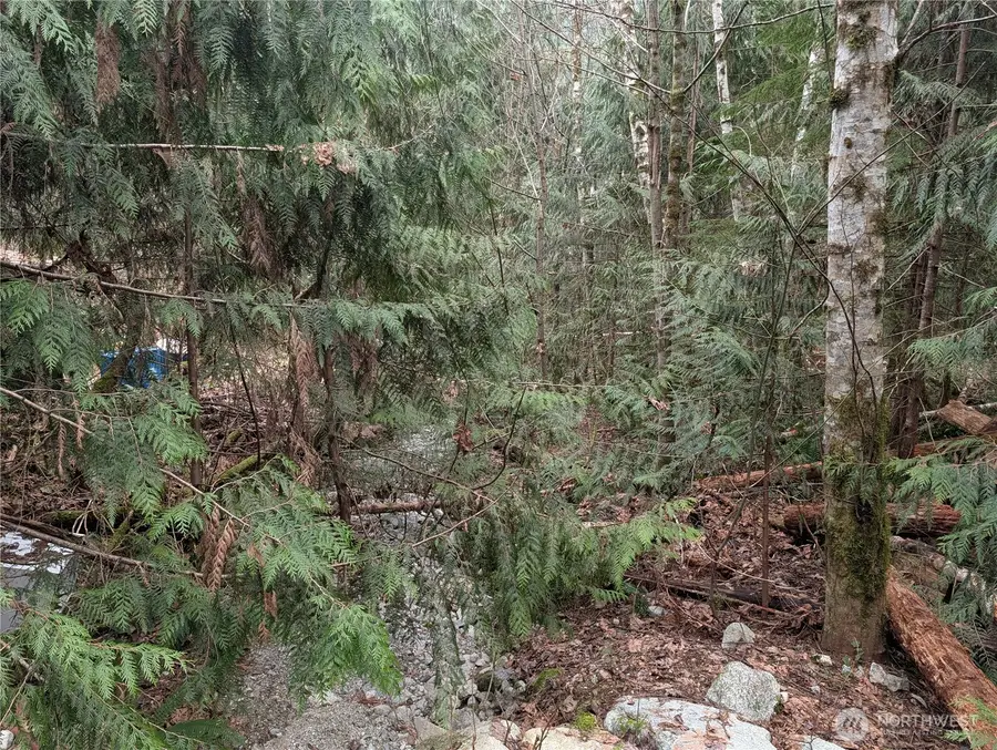 64062 Cascade River Rd, Marblemount, WA 98267 - #2