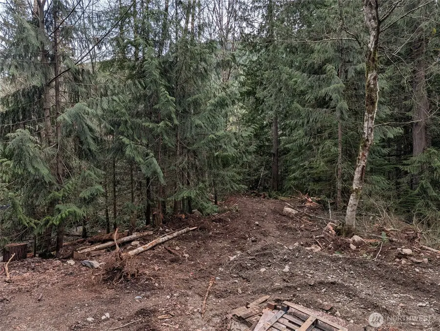 64062 Cascade River Rd, Marblemount, WA 98267 - #3