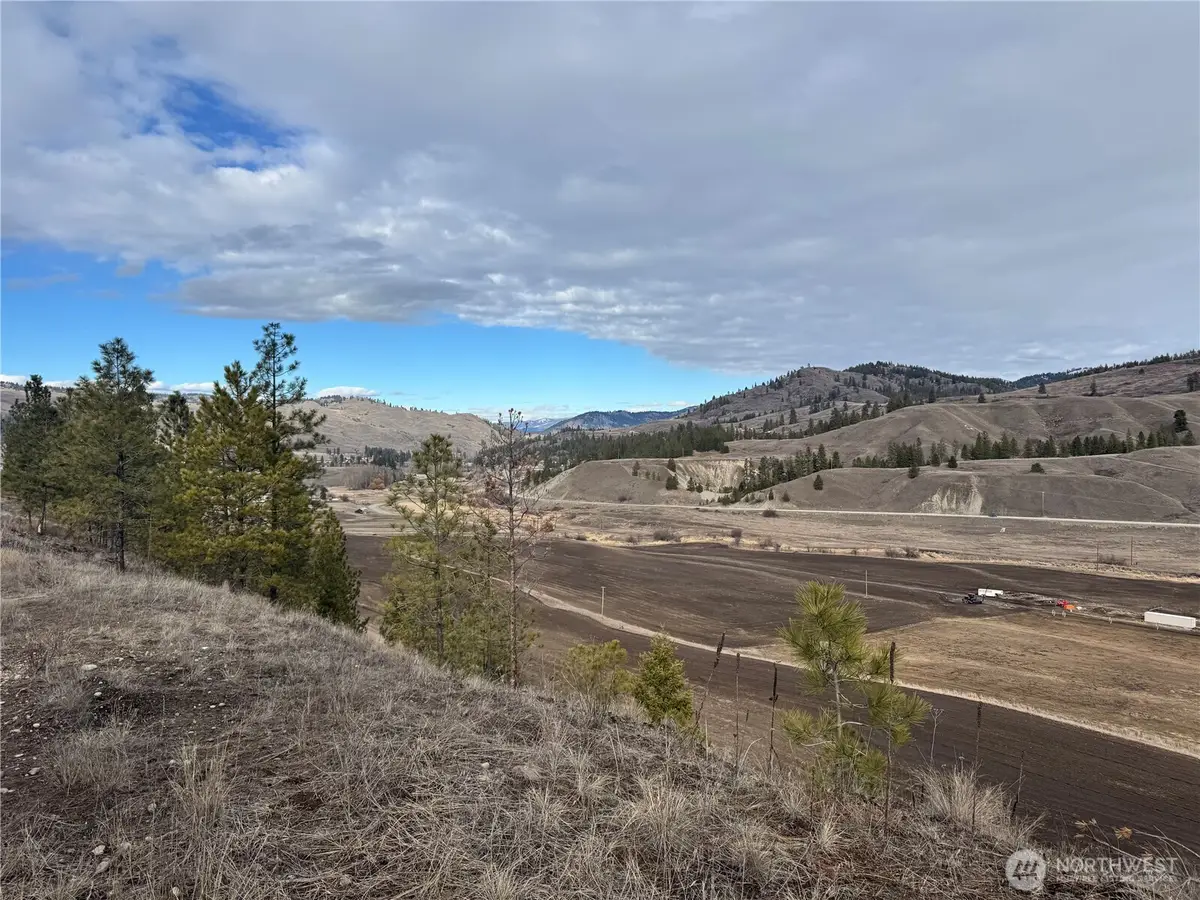 6 Tbd Lundimo Meadows #6, Curlew, WA 99118 - #1