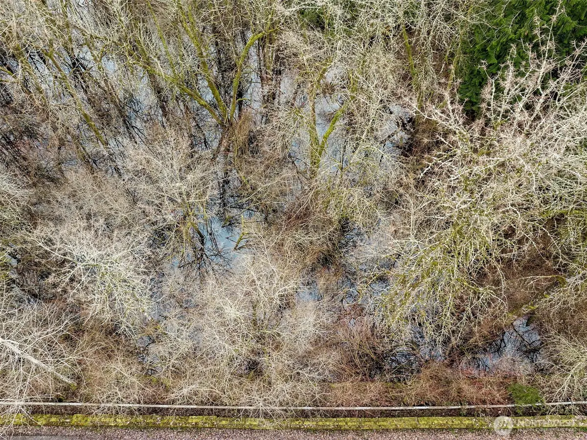 6202 188th Avenue E, Bonney Lake, WA 98391 - #1