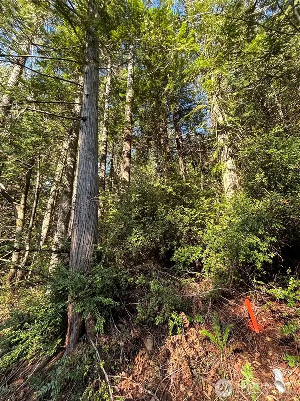 0 Nka Yashi Road #E 1/2 of 19, 20, 21, Brinnon, WA 98320