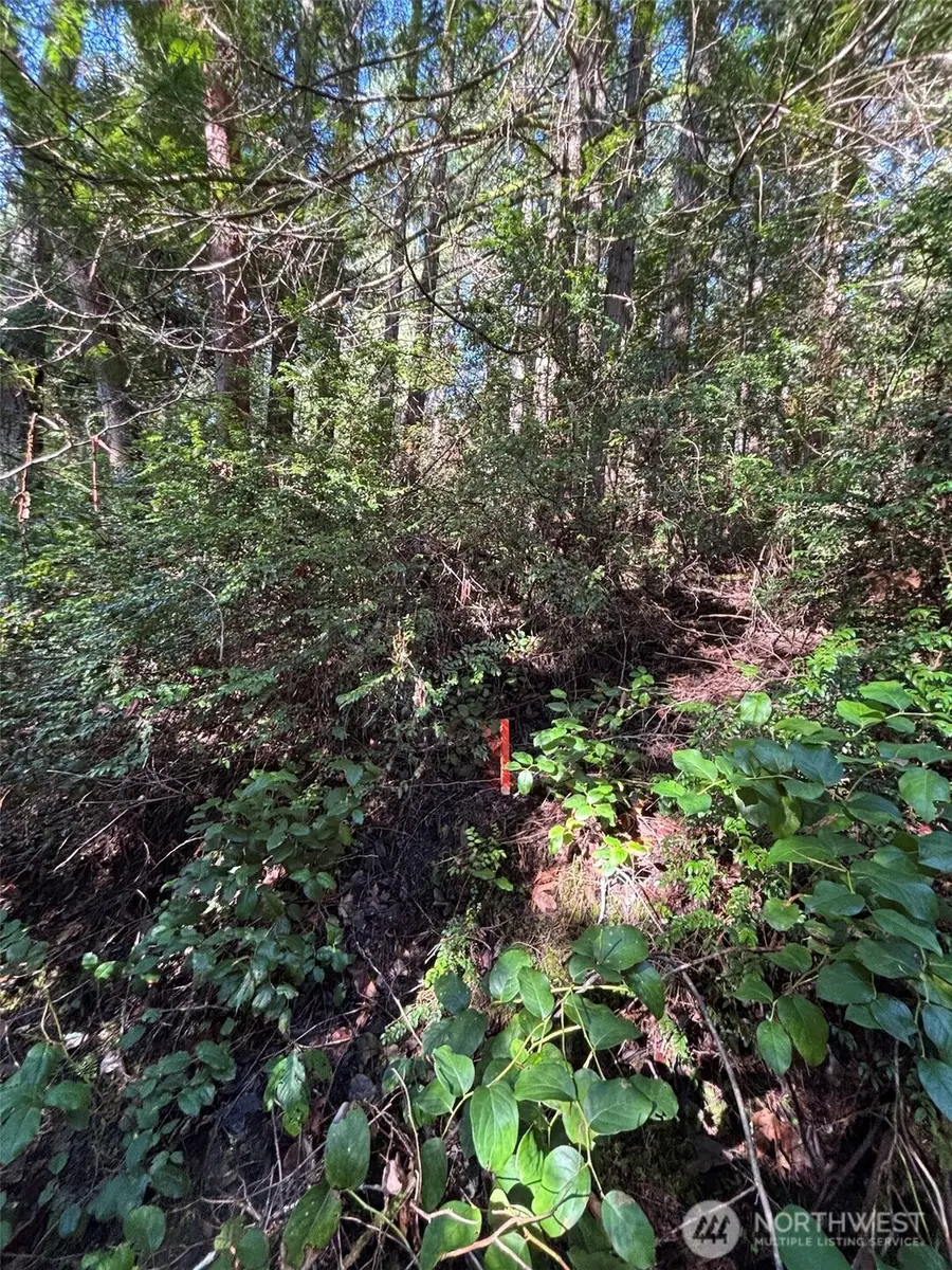 0 Nka Yashi Road #E 1/2 of 19, 20, 21, Brinnon, WA 98320 - #2