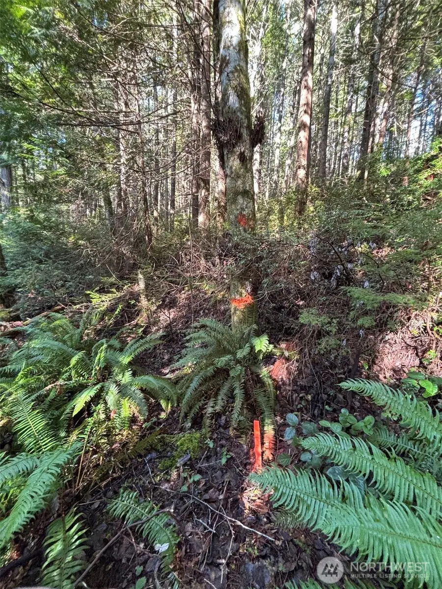 0 Nka Yashi Road #E 1/2 of 19, 20, 21, Brinnon, WA 98320 - #3