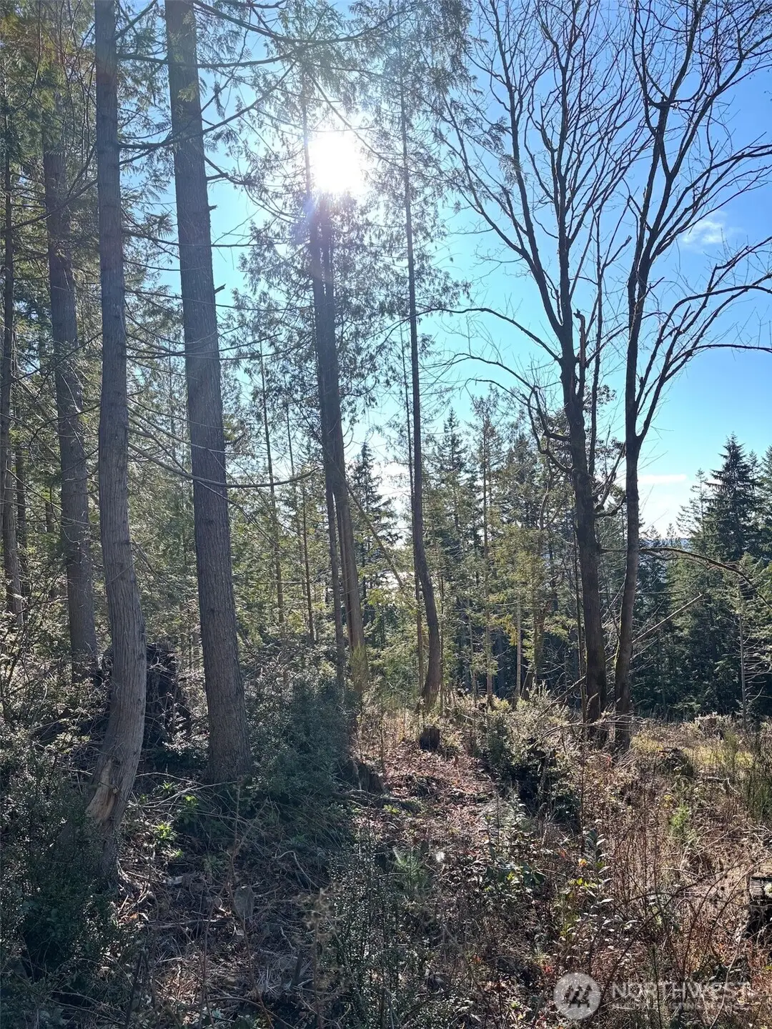 1 Nka Yashi Road #E 1/2 19, 20, 21, Brinnon, WA 98320 - #1