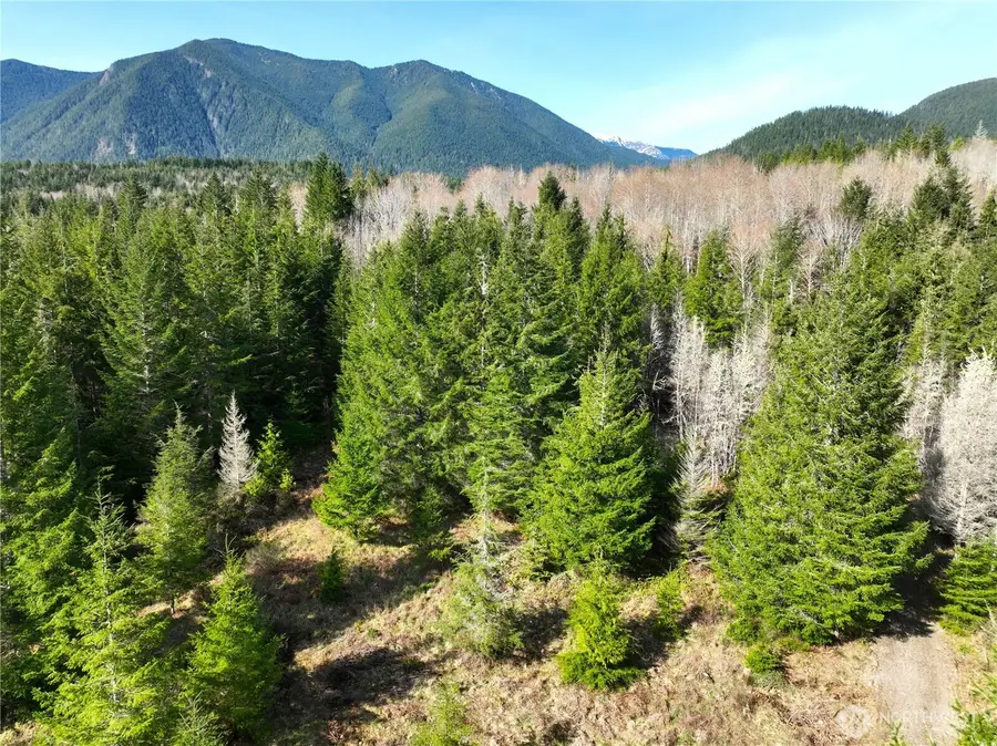 71 Elkhorn Lane #34-21, Quilcene, WA 98376 - #3