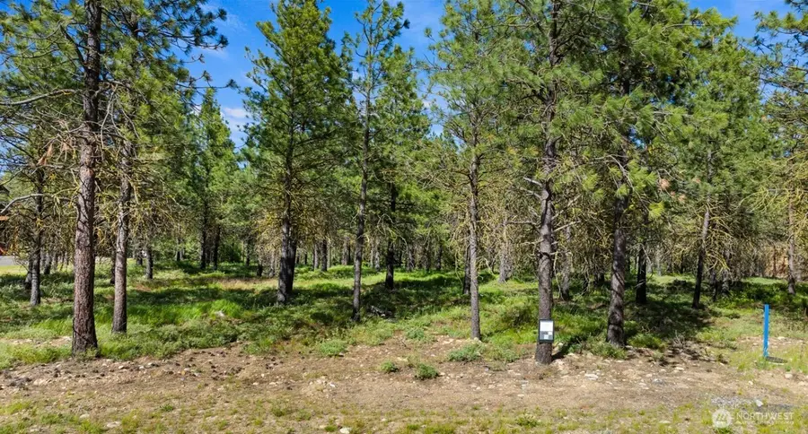 46 Southern Star Lane #Div 15-46, Cle Elum, WA 98922 - #3