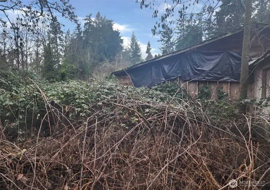 3805 S 282nd Street, Auburn, WA 98001 - #2