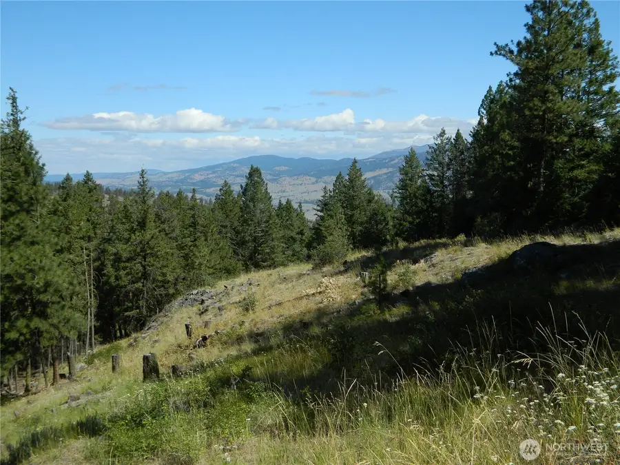 0 Tbd Snowbunny Ridge Drive, Tonasket, WA 98855 - #2