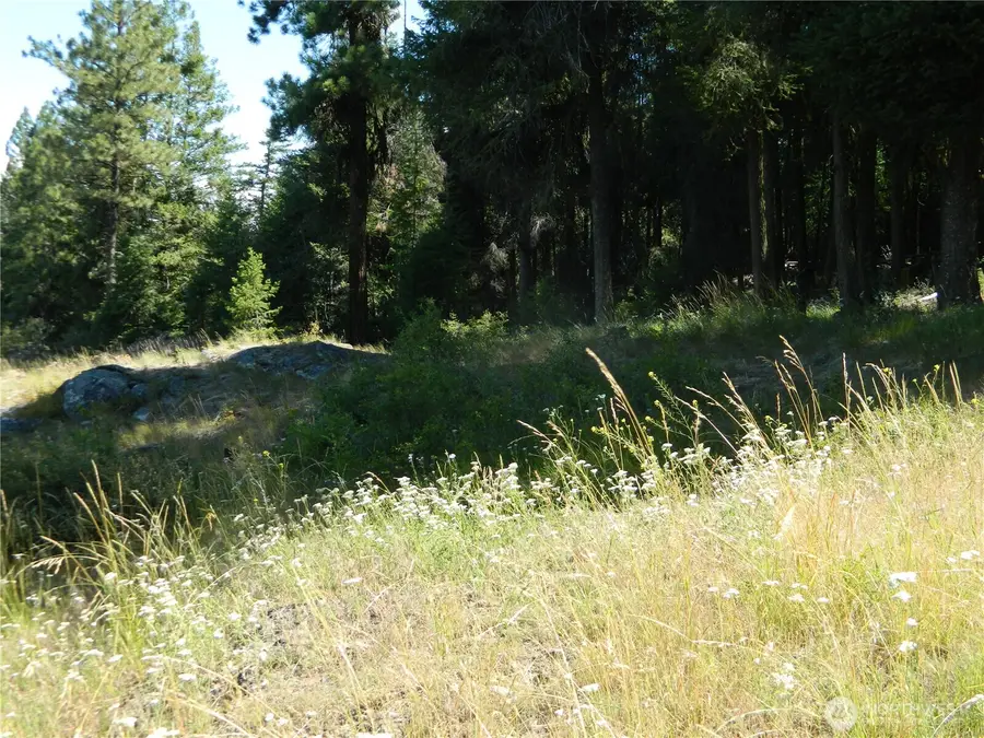 0 Tbd Snowbunny Ridge Drive, Tonasket, WA 98855 - #3