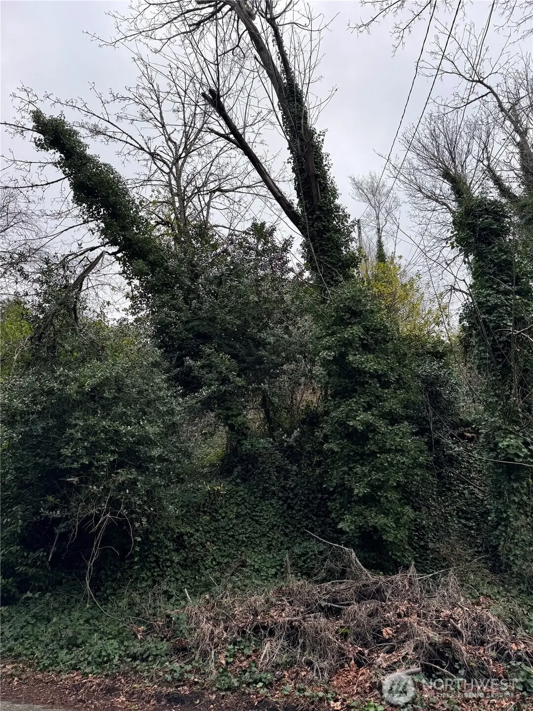 19 32nd Avenue W #14, Seattle, WA 98199 - #1