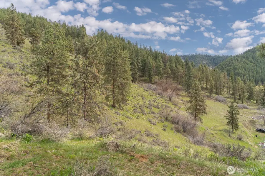 4681 Brisky Canyon Road, Cashmere, WA 98815 - #3