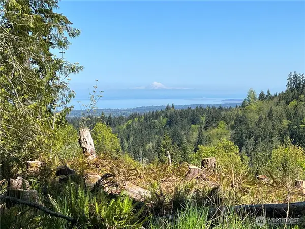 9999 E Half Mile Rd., Lot B #B, Port Angeles, WA 98362