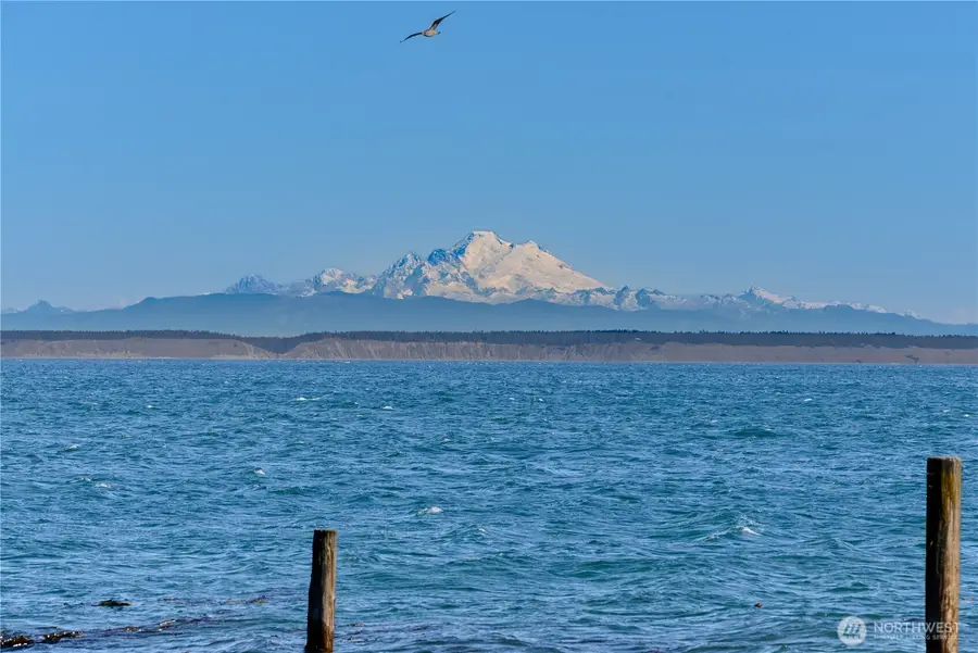 190 Diamond Shore Lane, Sequim, WA 98382 - #3