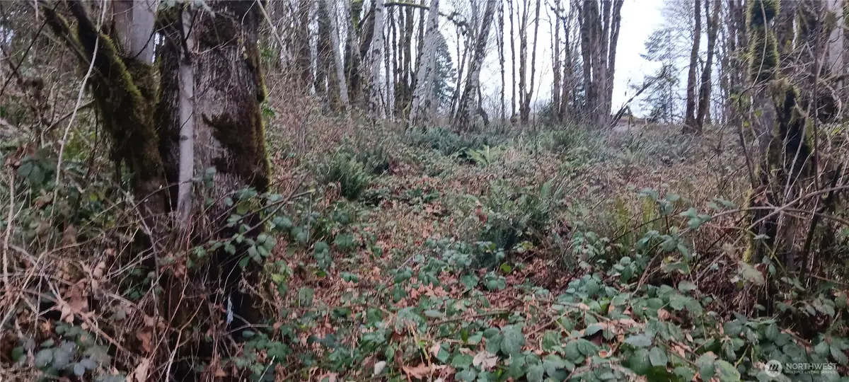 0 W County Line Road, McCleary, WA 98557 - #1