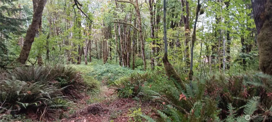 0 W County Line Road, McCleary, WA 98557 - #2