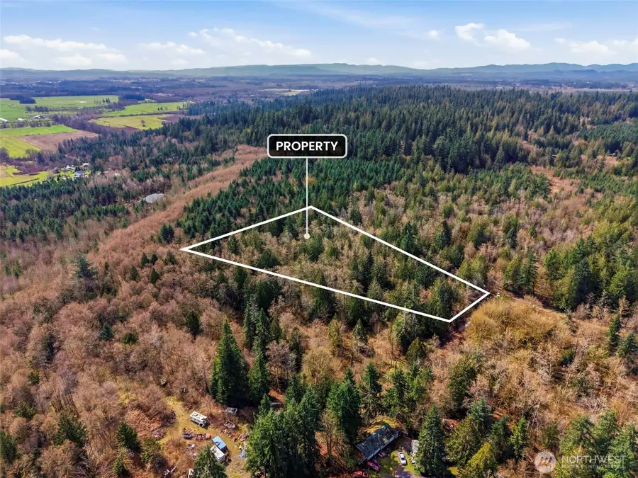 0 S Prairie Road, Napavine, WA 98532 - #3