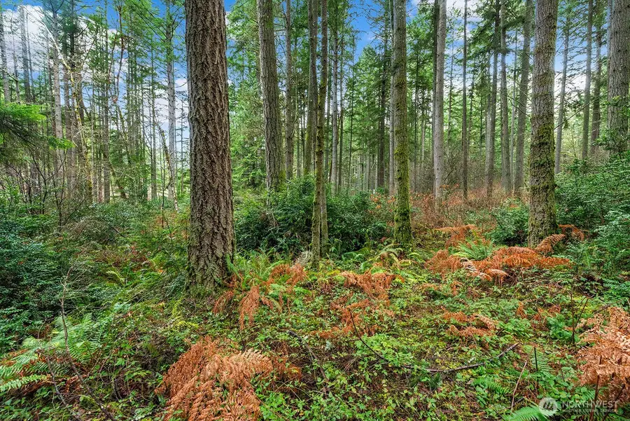 0 SW 220th Street, Vashon, WA 98070 - #3