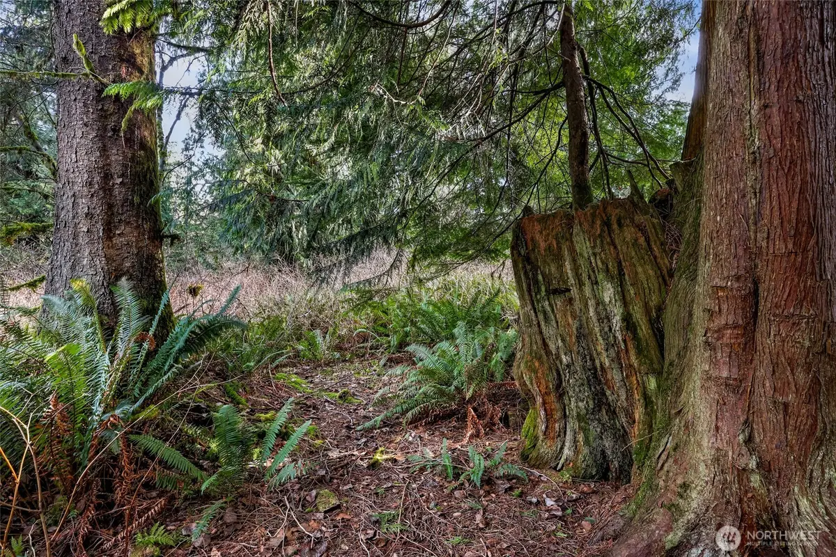 6657 N Fruitdale Road, Sedro Woolley, WA 98284 - #1