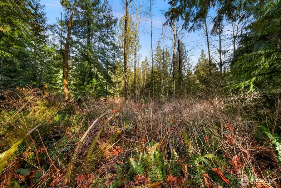 6655 N Fruitdale Road, Sedro Woolley, WA 98284 - #2