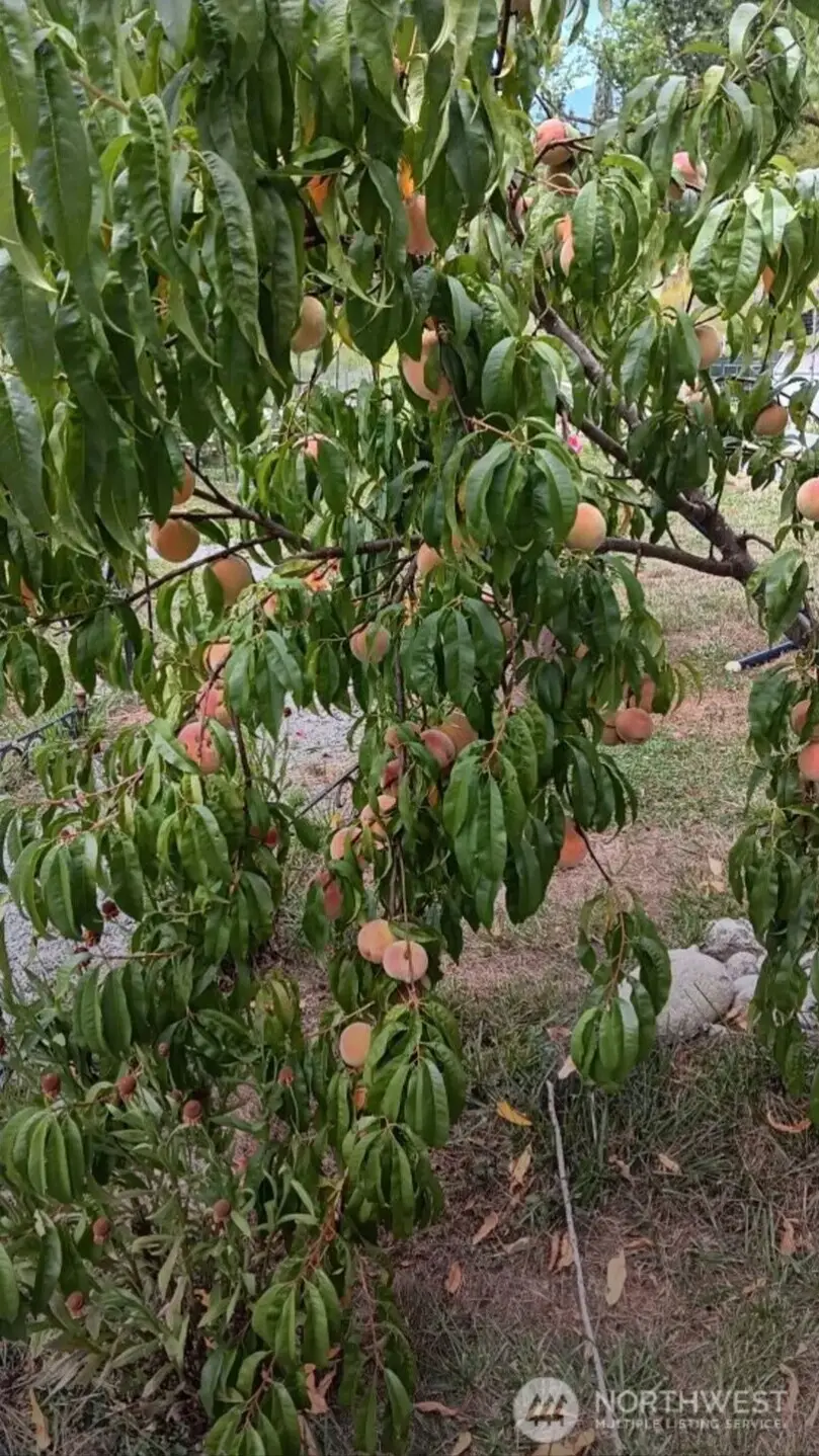 47367 State Route 20, Concrete, WA 98237 - #3