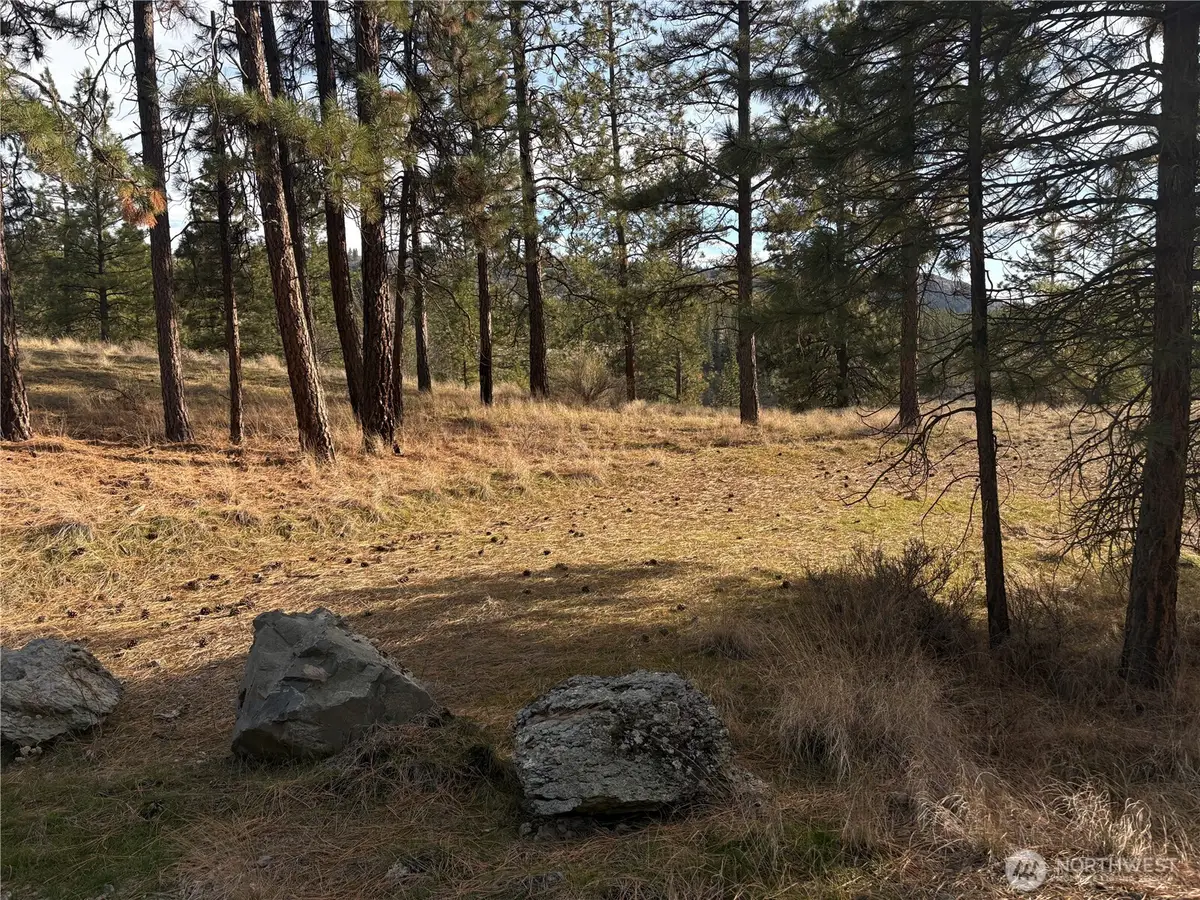 2 Mist Lake Road #2, Tonasket, WA 98855 - #1