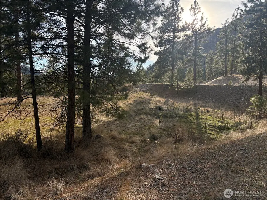 2 Mist Lake Road #2, Tonasket, WA 98855 - #2