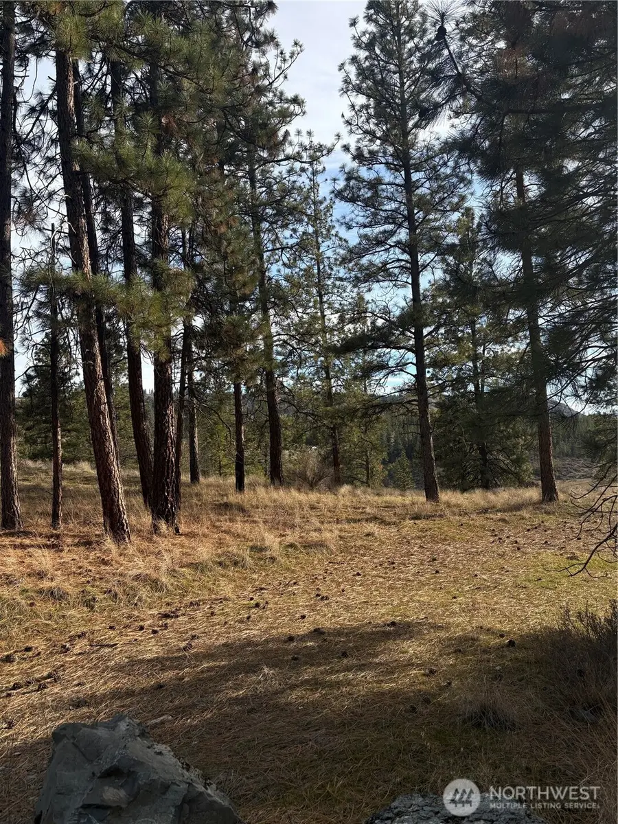 2 Mist Lake Road #2, Tonasket, WA 98855 - #3