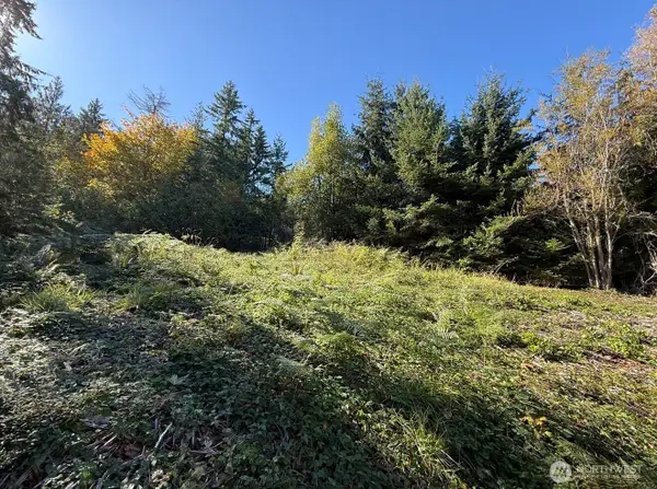 0 Chelsamish Drive #1, Sequim, WA 98382