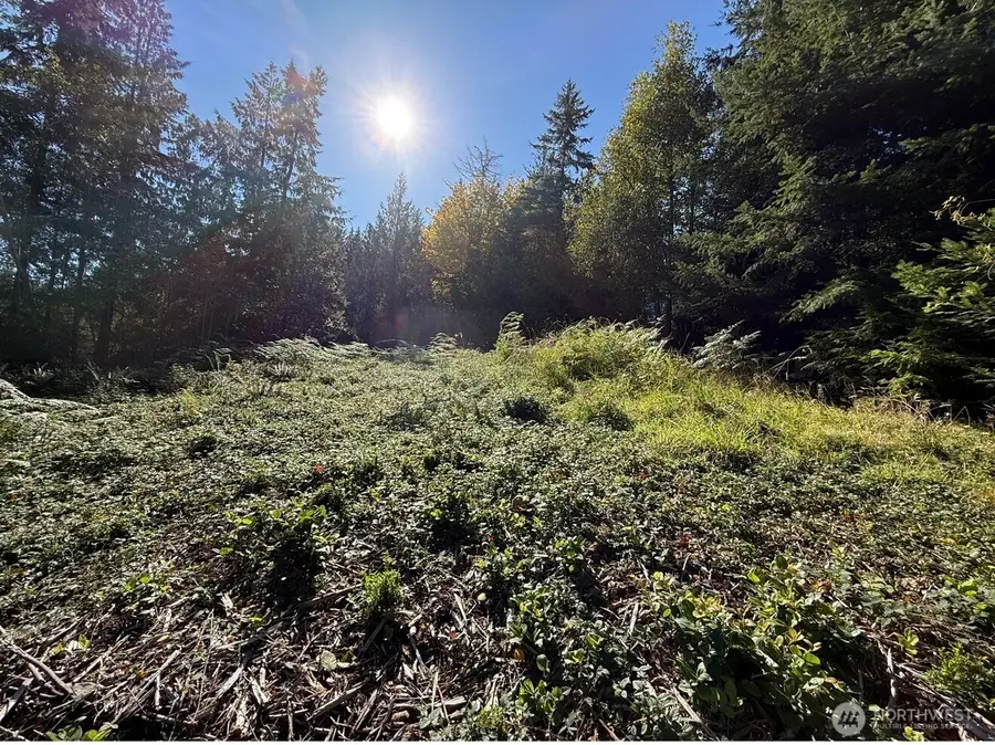 0 Chelsamish Drive #1, Sequim, WA 98382 - #2