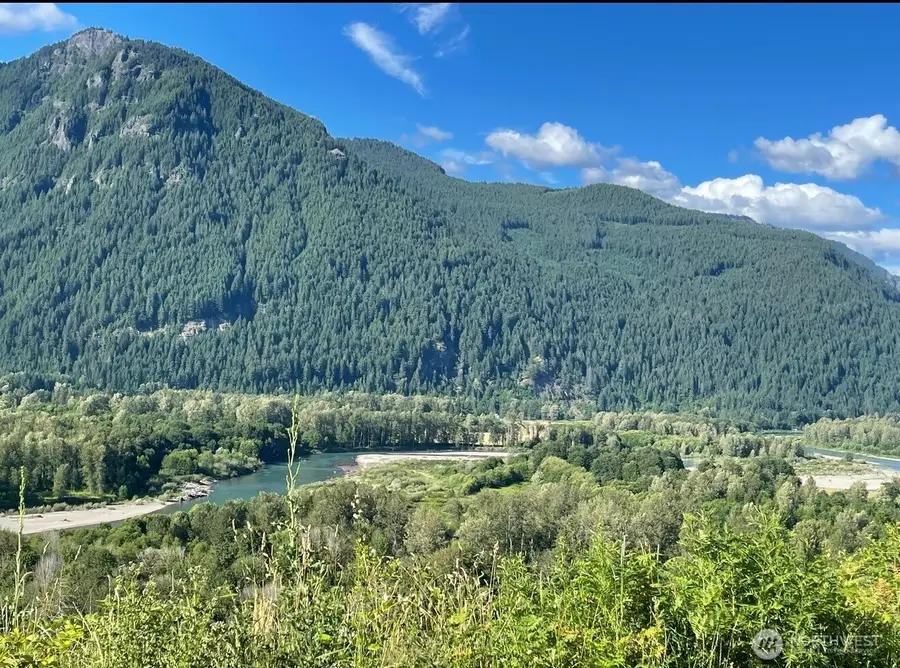 1102 Cline Road, Randle, WA 98937 - #2