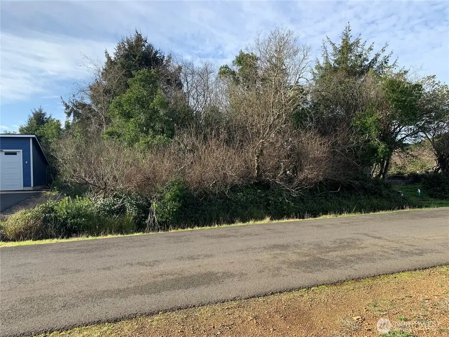 345 S Wynoochee Drive #289, Ocean Shores, WA 98569 - #3