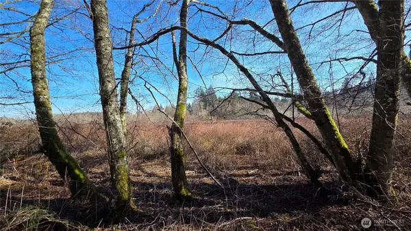 5707 Woodard Avenue, Freeland, WA 98249