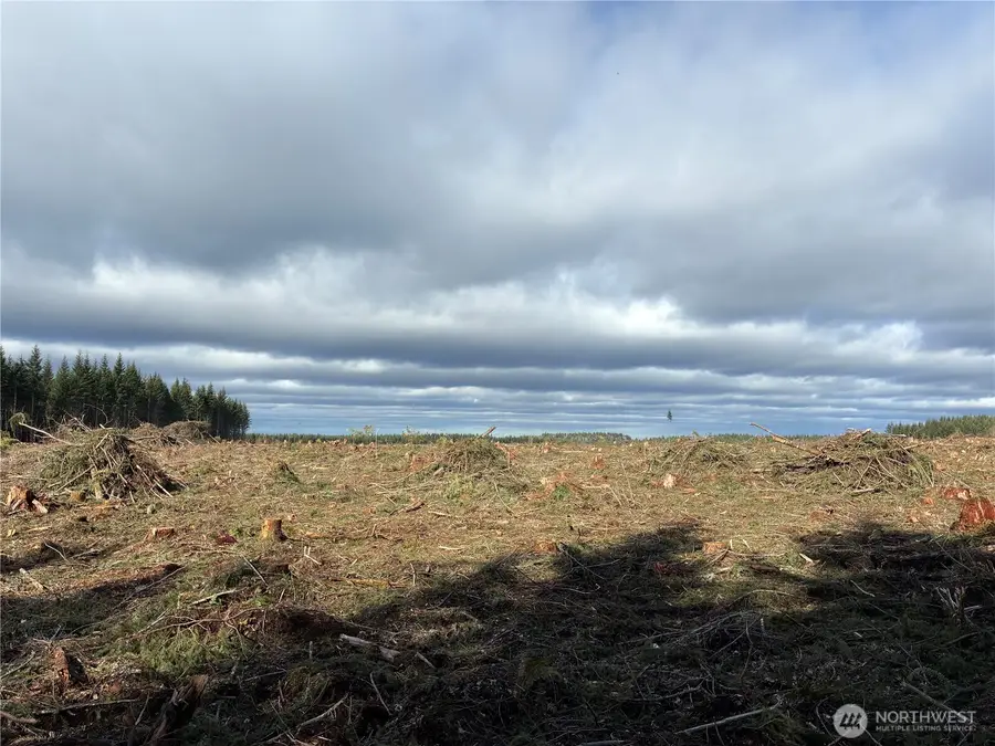 28840 Freelane Road #2, Carbonado, WA 98323 - #2