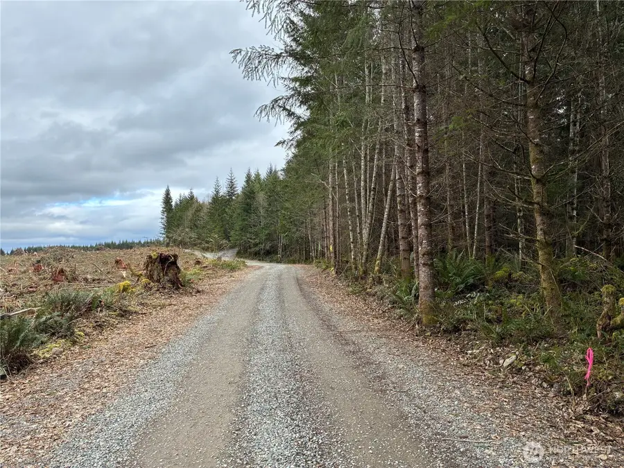 28840 Freelane Road #2, Carbonado, WA 98323 - #3