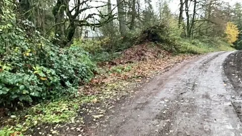 29280 NE 189th Street #4, Duvall, WA 98019 - #2