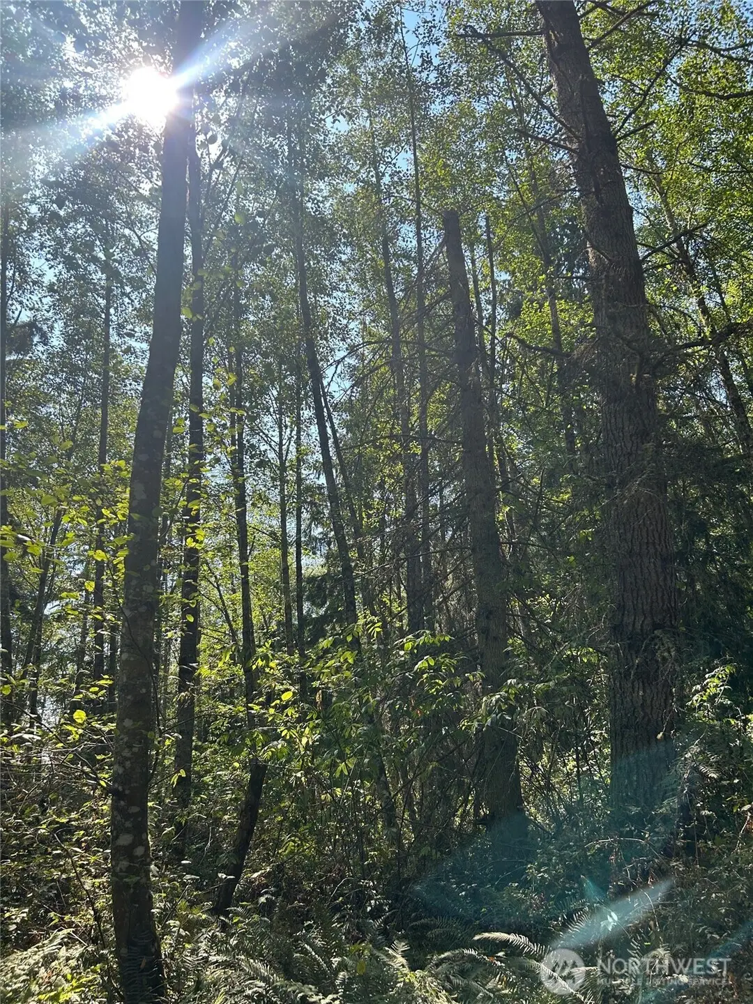 0 Forest View Lane, Greenbank, WA 98253 - #1