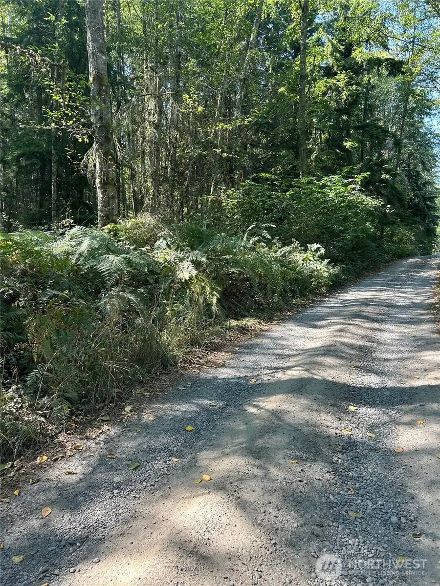 0 Forest View Lane, Greenbank, WA 98253 - #2