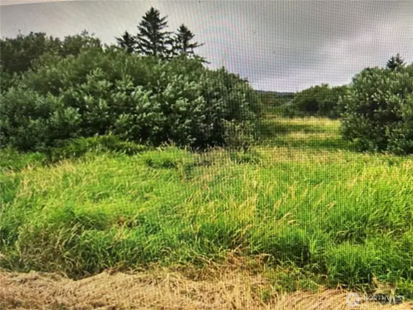 258 Stringtown Road #4, Ilwaco, WA 98624