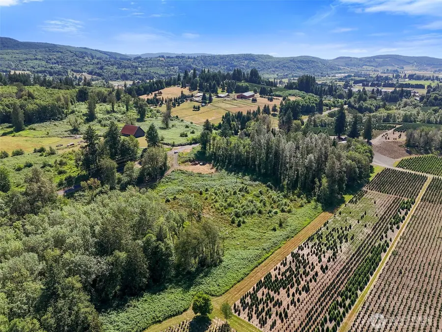 233 Young Road, Mossyrock, WA 98564 - #3