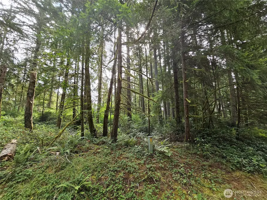 9325 123rd Avenue #13, Anderson Island, WA 98303 - #3