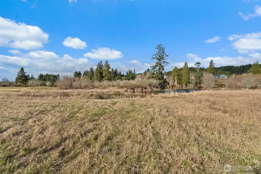 0 Lilly Wheaton Road, Raymond, WA 98577 - #3
