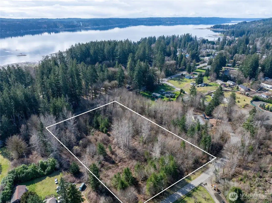 0 NE North Shore Road, Belfair, WA 98528 - #3
