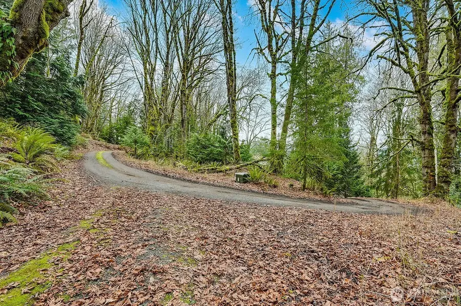 376 Beach Drive, Quilcene, WA 98376 - #3